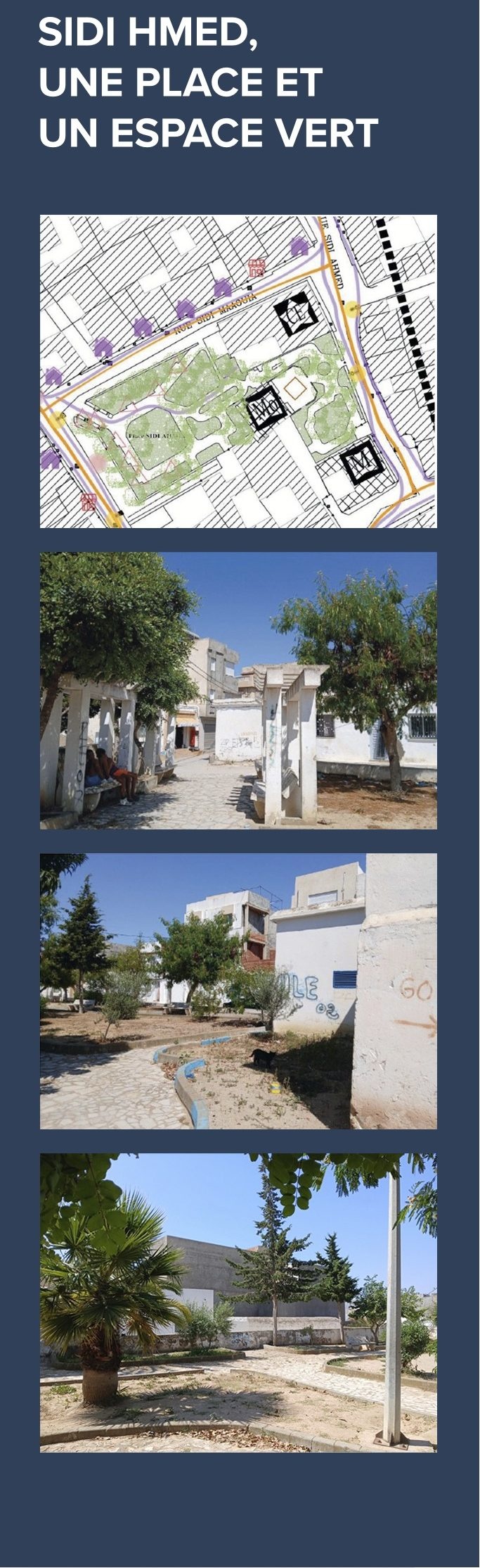 Sidi Hmed — plan et photos