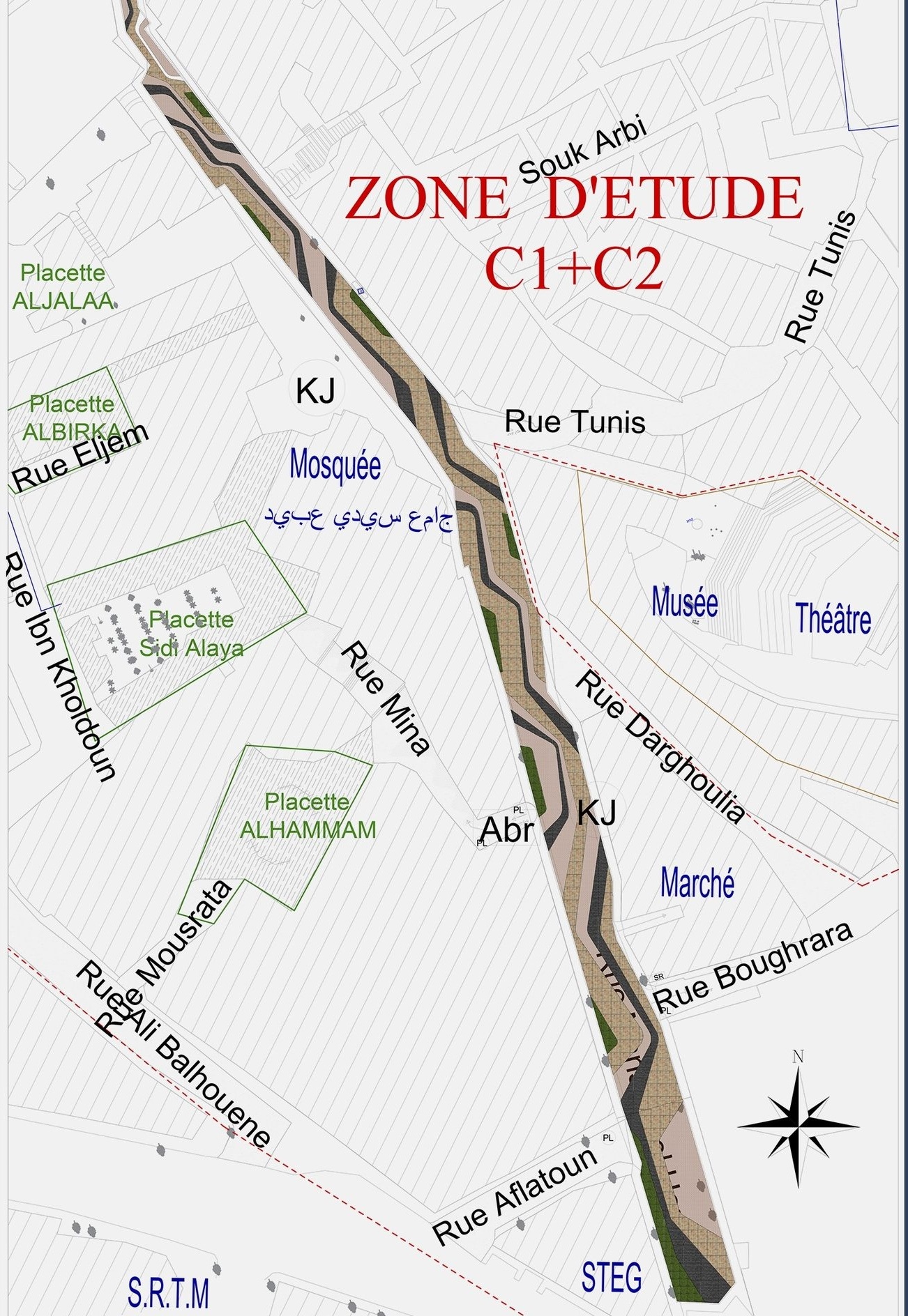 Zone d'étude C1+C2 détaillée avec placettes